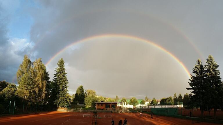 Zápis z 6. jednání výkonného výboru